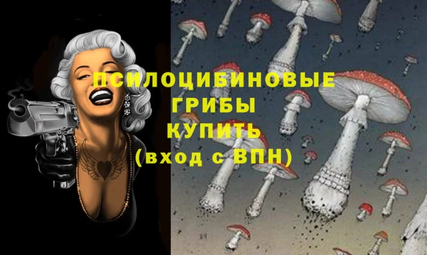 винт Богданович